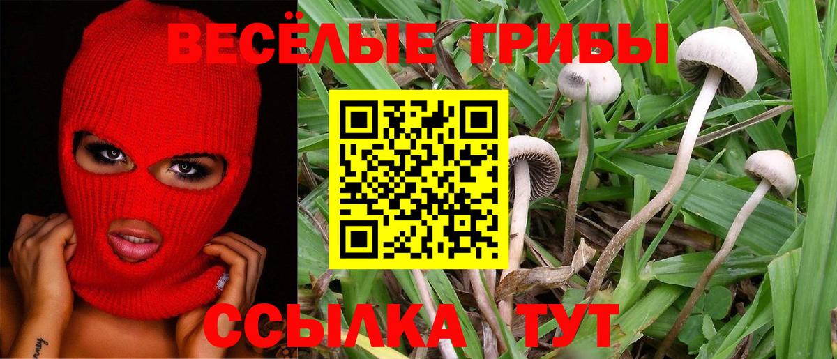 Нижний Тагил  Псилоцибиновые грибы прущие грибы  Вход с VPN 